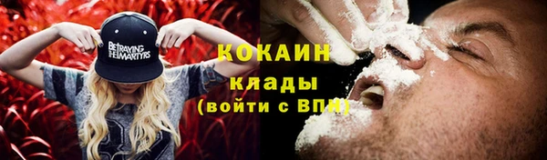 молекула духа Каменск-Шахтинский