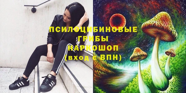 гидропоника Каменногорск
