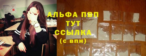 молекула духа Каменск-Шахтинский