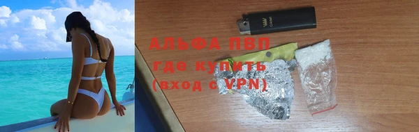 молекула духа Каменск-Шахтинский