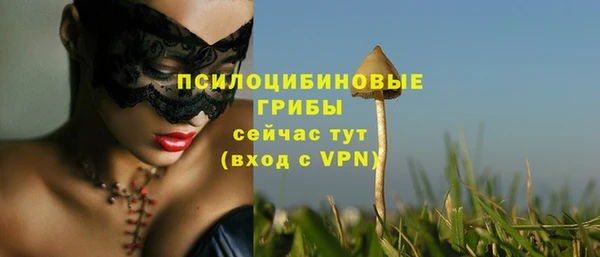 гидропоника Каменногорск
