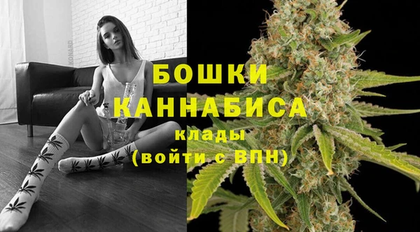 молекула духа Каменск-Шахтинский