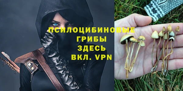 круглые Каменка