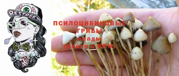 гидропоника Каменногорск